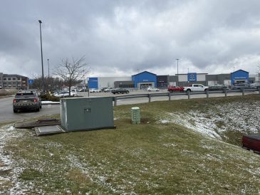 article image - tea2